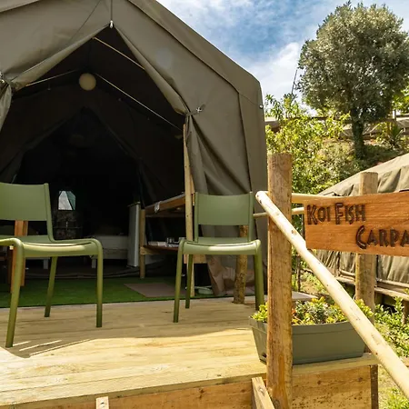 Safari Glamping Portugal Elephant * Ventosa (Braga)